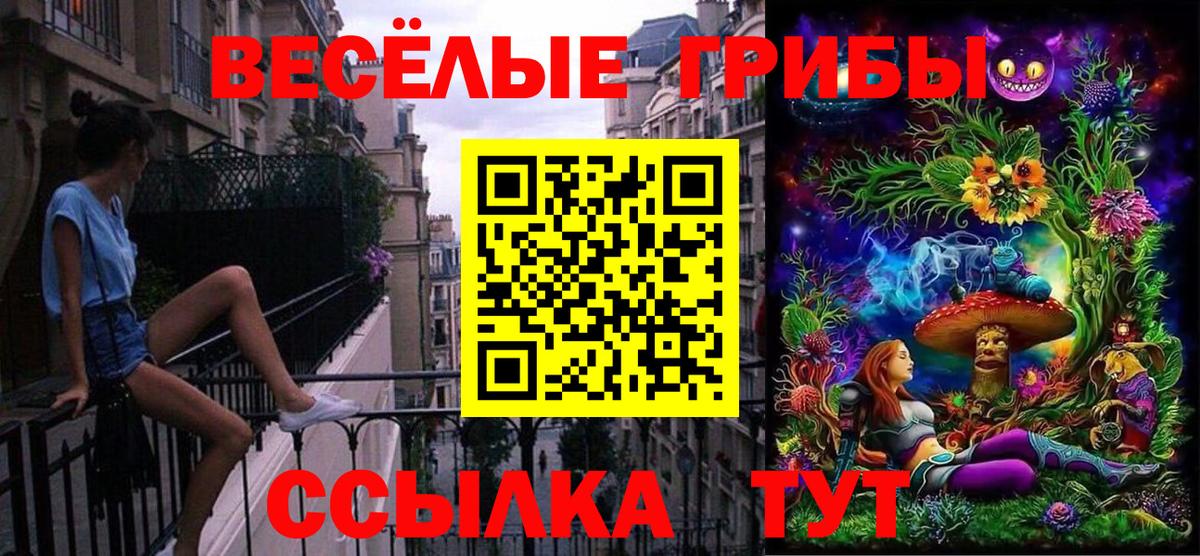 Псилоцибиновые грибы Psilocybine cubensis  Псилоцибиновые грибы MAGIC MUSHROOMS  Вход с VPN  Альметьевск 