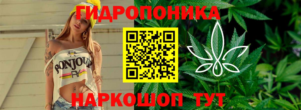 Марихуана план  Вход с VPN  Альметьевск  Канабис Bruce Banner 